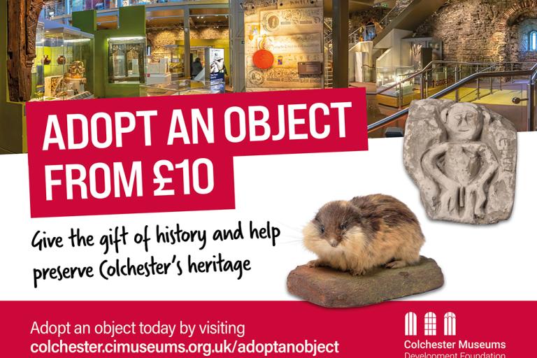 Colchester Museums campaign graphic: “Adopt an Object from £10” in bold red text. Background shows museum exhibits. Includes a carved stone artifact and a taxidermy small mammal. Call to action: “Give the gift of history and help preserve Colchester’s heritage.” Website link: colchester.cimuseums.org.uk/adoptanobject.