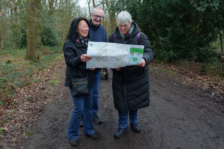 Three people standing on a path among trees, looking at a map