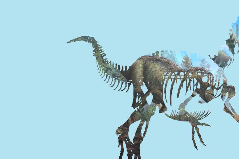 Colchester’s first dinosaur skeleton alongside extraordinary fossils at Hollytrees Museum