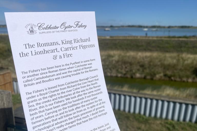 Leaflet about Colchester Oyster Fishery held against a waterside estuary background.