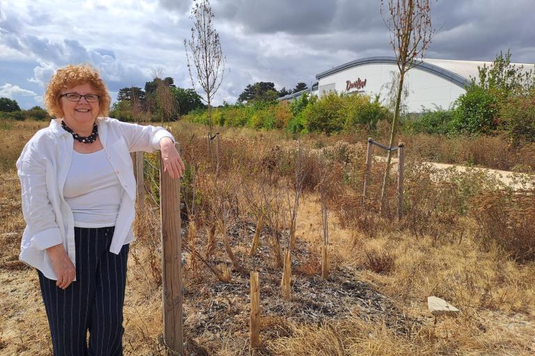 Councillor Alison Jay at the Northern Gateway site that has been sold to Lidl GB