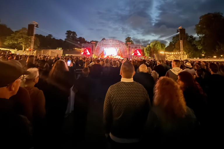 A crowd at a concert