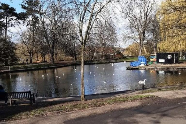 View across Castle Park boating lake on a bright day, with swans and gulls on the water, leafless trees surrounding the lake, a paved path and bench in the foreground, and boating lake facilities visible on the far bank.