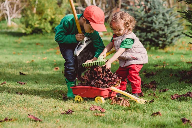 Two children picking autumn leaves into a play wheelbarrow