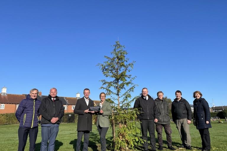 Cemetery receives Redwood trees donation in honour of Medical Society's 250th anniversary
