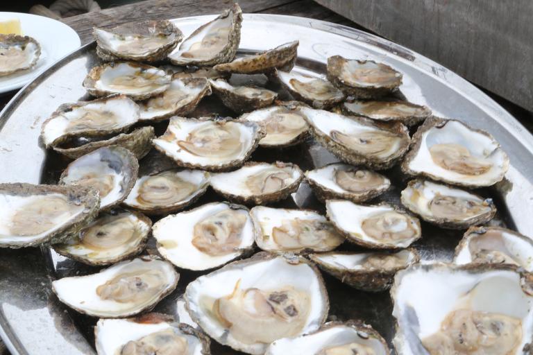 Colchester's Oyster Fisheries open for the season