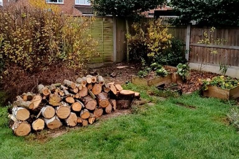 Council now offers affordable tree work to the public