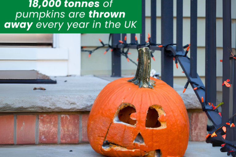 Don’t waste your pumpkins – recycle and repurpose!