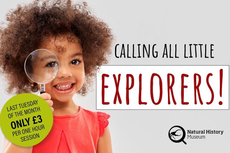 Exciting mini museum sessions at Natural History Museum return: unleashing curiosity and learning for young explorers