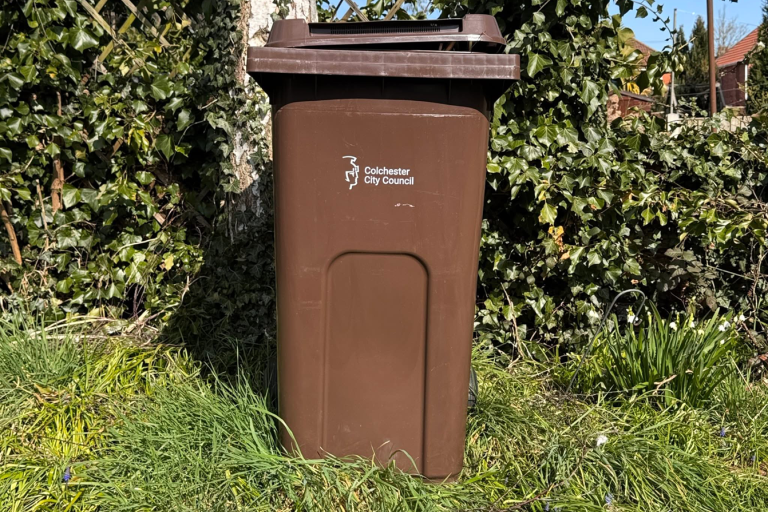 Keep your garden tip-top with a garden waste special offer – you clip, we collect