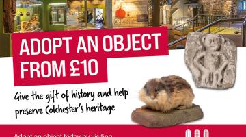 Colchester Museums campaign graphic: “Adopt an Object from £10” in bold red text. Background shows museum exhibits. Includes a carved stone artifact and a taxidermy small mammal. Call to action: “Give the gift of history and help preserve Colchester’s heritage.” Website link: colchester.cimuseums.org.uk/adoptanobject.