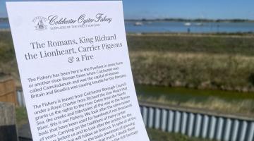 Leaflet about Colchester Oyster Fishery held against a waterside estuary background.