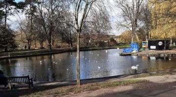 View across Castle Park boating lake on a bright day, with swans and gulls on the water, leafless trees surrounding the lake, a paved path and bench in the foreground, and boating lake facilities visible on the far bank.