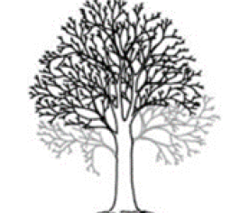 Colchester City Council - Tree maintenance service