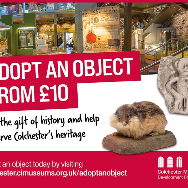 Colchester Museums campaign graphic: “Adopt an Object from £10” in bold red text. Background shows museum exhibits. Includes a carved stone artifact and a taxidermy small mammal. Call to action: “Give the gift of history and help preserve Colchester’s heritage.” Website link: colchester.cimuseums.org.uk/adoptanobject.