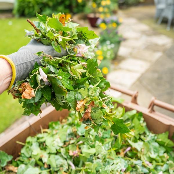 Gloved hand holding garden clippings over a brown waste bin in a backyard with grass and patio.
