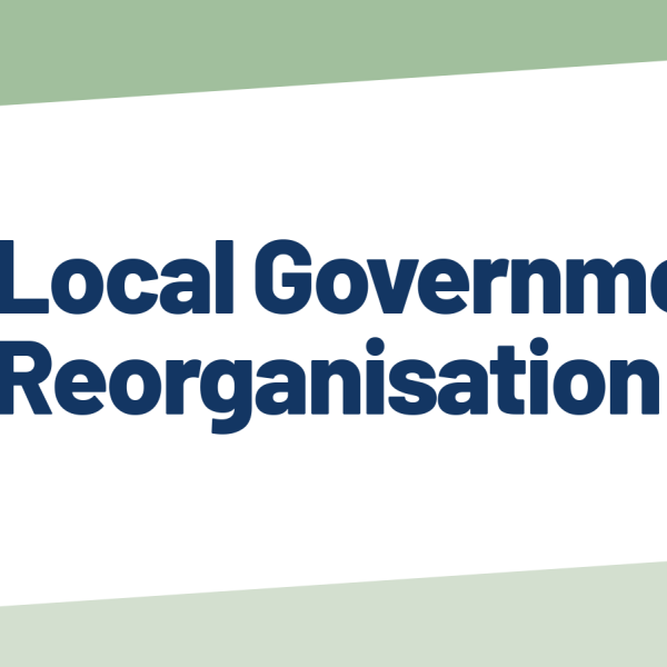 Logo with text “Local Government Reorganisation” in dark blue, next to a grid of green and blue rectangles on a white background with angled colour blocks.