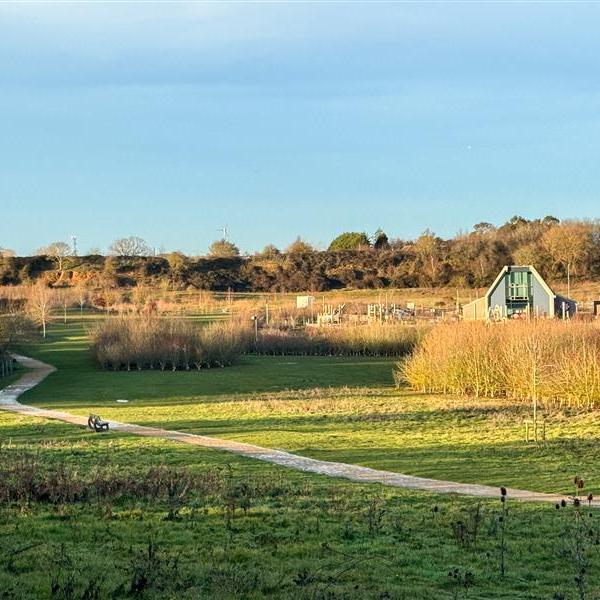 A wide, sunny landscape view of a country park with open grassy fields, a winding footpath, scattered trees and shrubs. A modern building sits to the right, with low hills and woodland in the background under a clear sky.