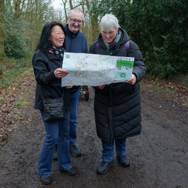 Three people standing on a path among trees, looking at a map