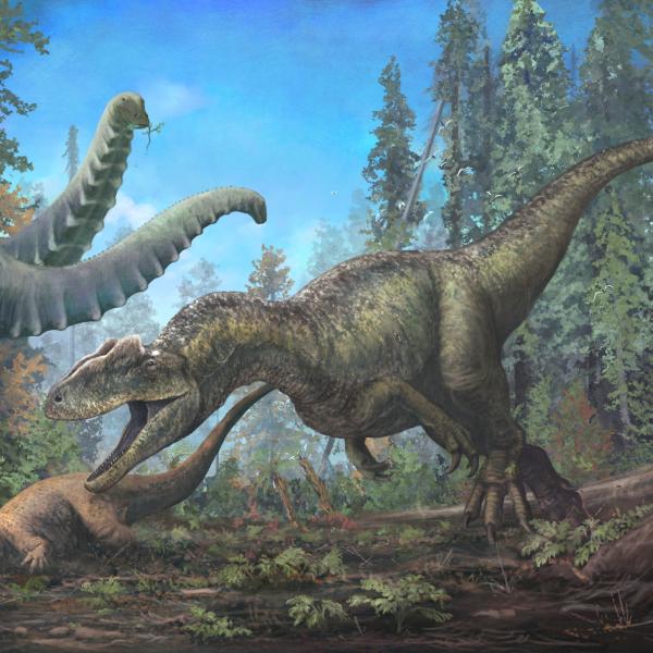 Image of 4 dinosaurs in a forest