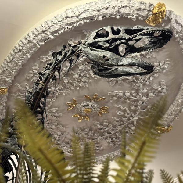 A photo of the fossil remains of 'Juliasaurus'