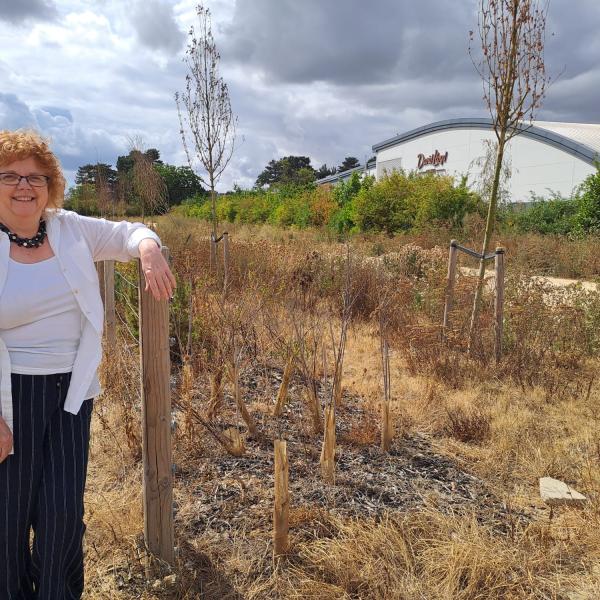 Councillor Alison Jay at the Northern Gateway site that has been sold to Lidl GB