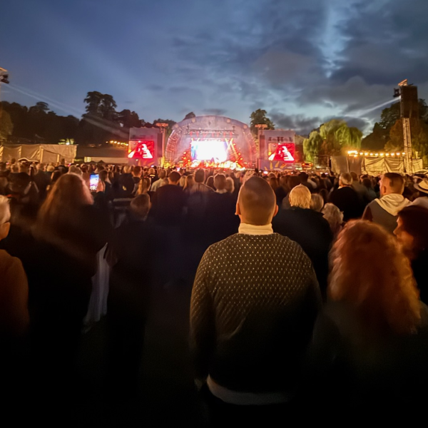 A crowd at a concert