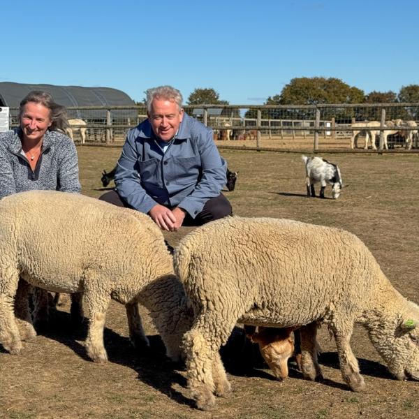 Dawn Goulding, owner of Alpaca Acres, and Cllr Paul Dundas pose with two sheep