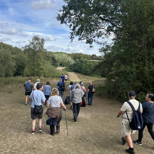 A group of people walking along a grassy path surrounded by trees and countryside.