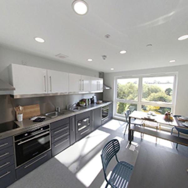 Cabinet to Consider Expansion of Successful Temporary Housing Initiative