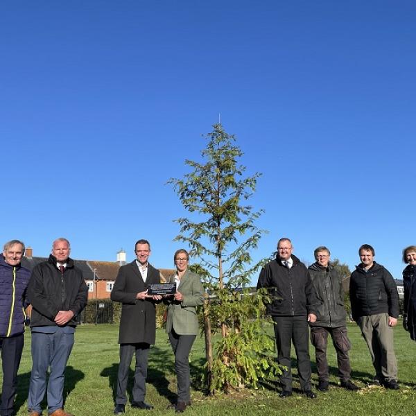 Cemetery receives Redwood trees donation in honour of Medical Society's 250th anniversary