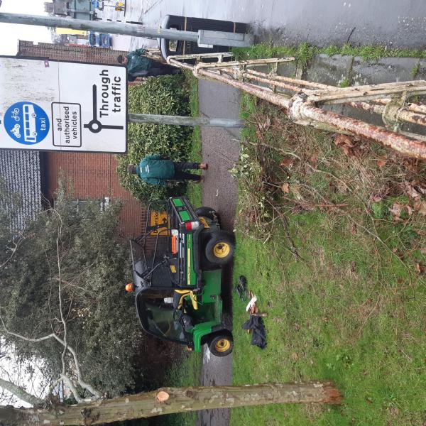 Colchester City Council take part in another successful Day of Action