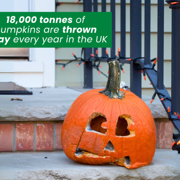 Don’t waste your pumpkins – recycle and repurpose!