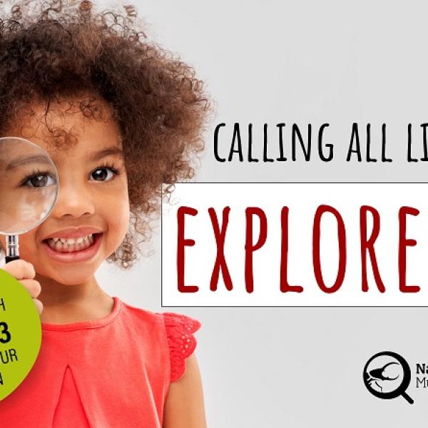 Exciting mini museum sessions at Natural History Museum return: unleashing curiosity and learning for young explorers