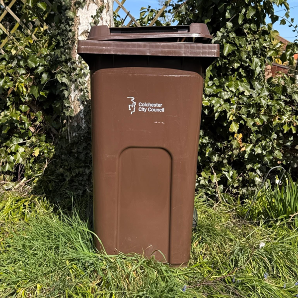 Keep your garden tip-top with a garden waste special offer – you clip, we collect