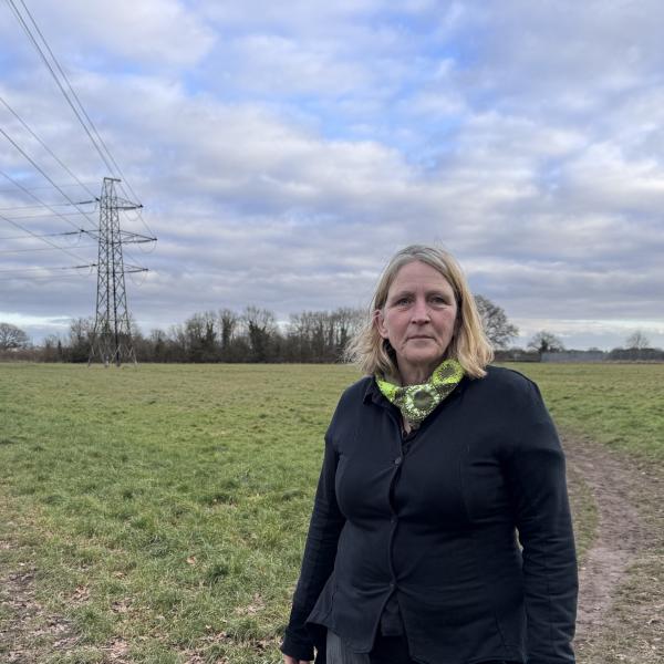 Local Plan Committee set to consider proposal to remove Middlewick Ranges from Local Plan